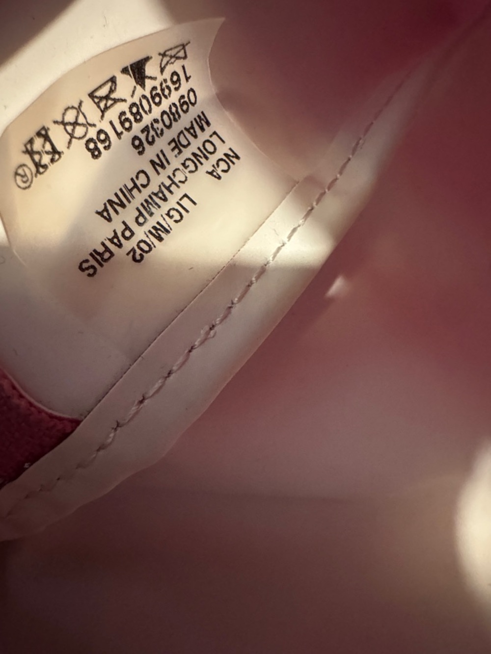 Longchamp Backpack - Picture 9 of 9